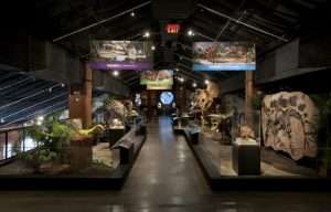 Houston Museum of Natural Science at Sugar Land