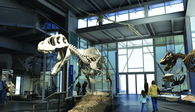 Witte Museum