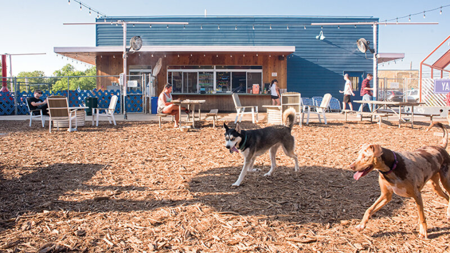 Yard Bar