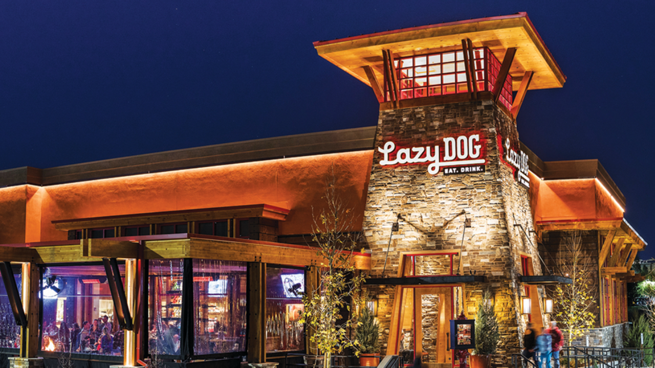 lazy dog restaurant and bar