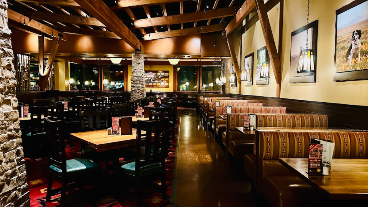 lazy dog restaurant & bar