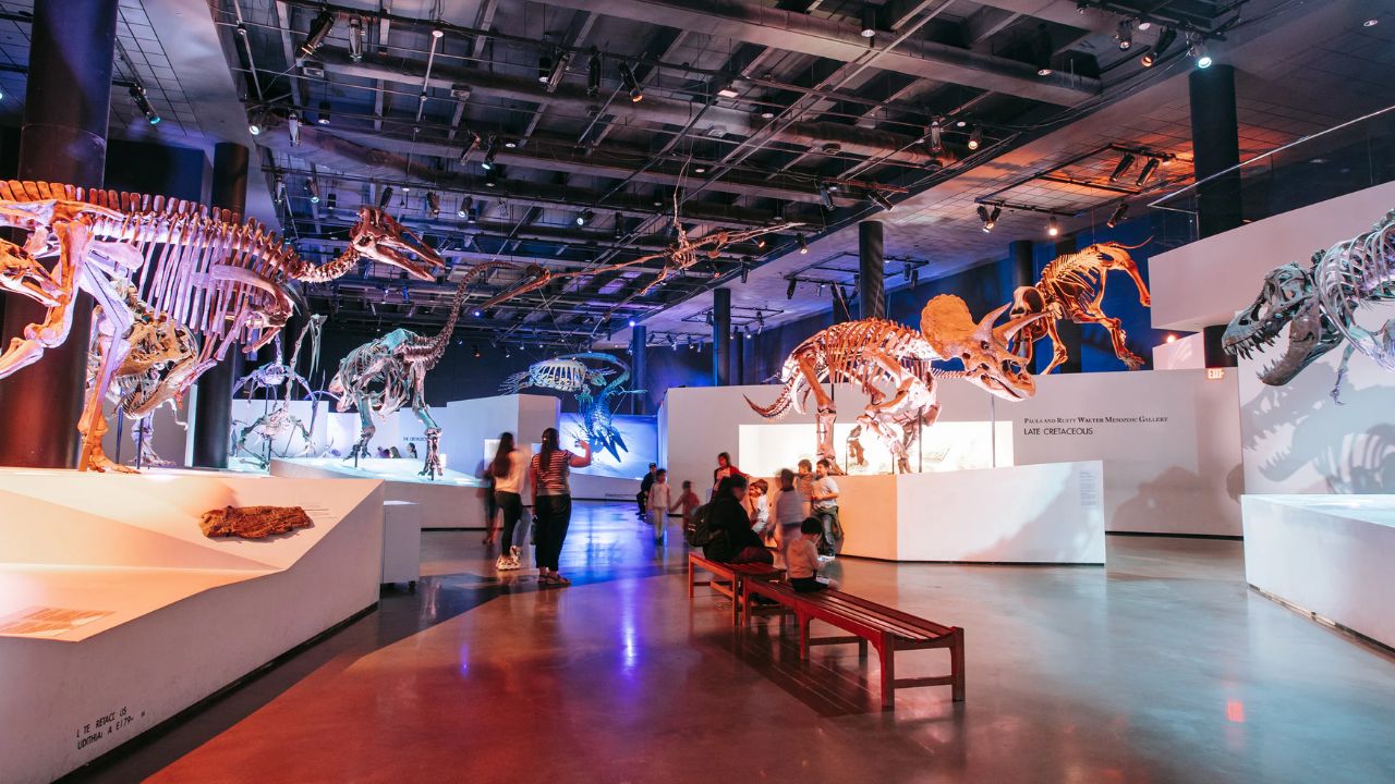 Houston Museum of Natural Science