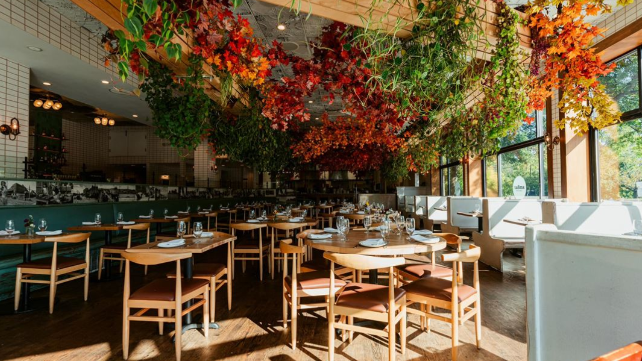 ambar restaurant - clarendon
